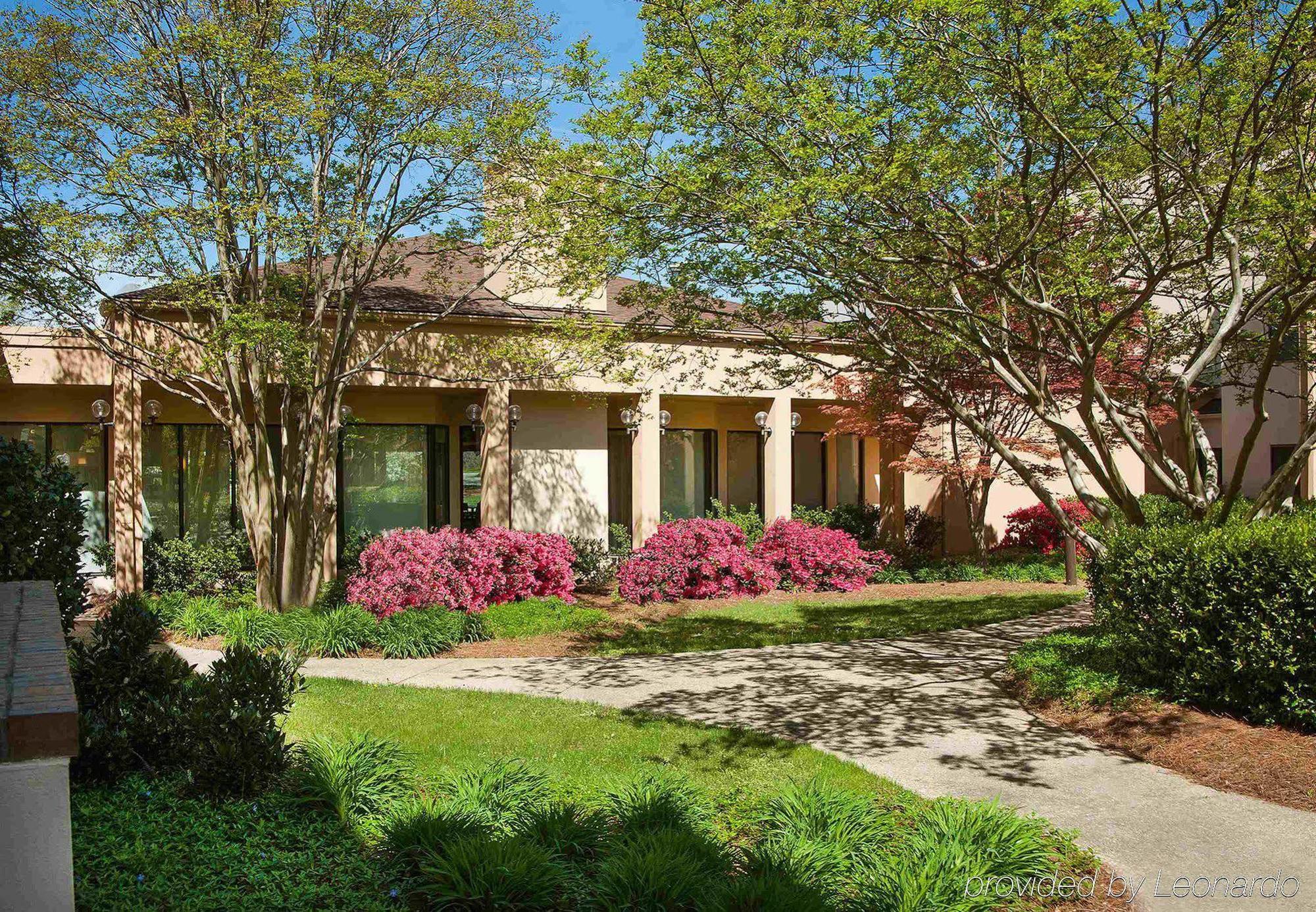 Courtyard Arrowood